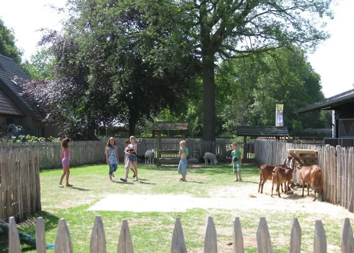 6 Pers. Veluwelounge + Wellness Chalet Voorthuizen